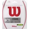 Wilson Synthetic Gut Power